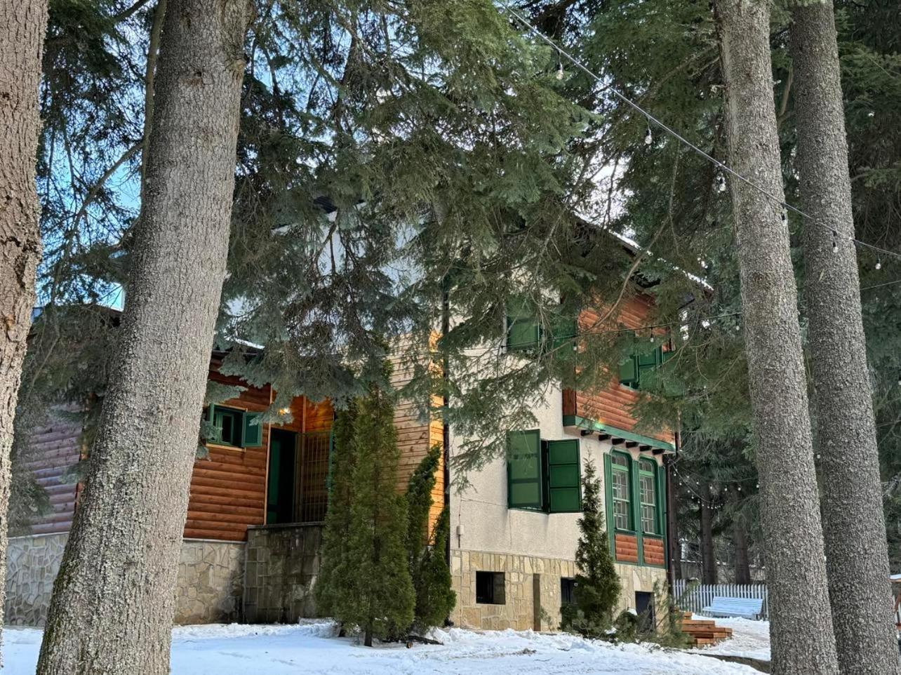 Villa Adis With Hot Pool & Jacuzzi By Bookvillabg Borovets Bagian luar foto