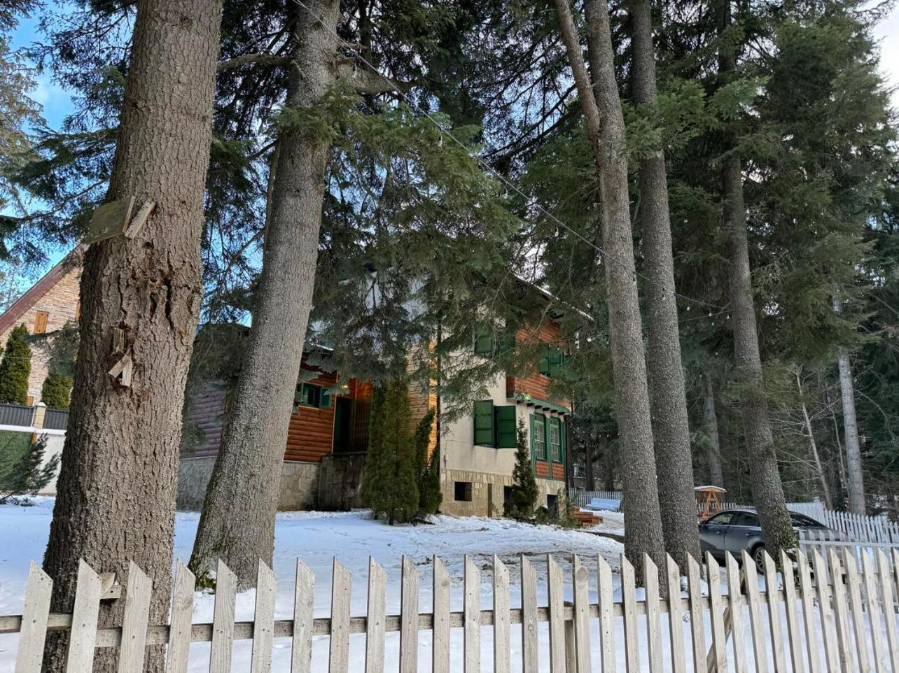 Villa Adis With Hot Pool & Jacuzzi By Bookvillabg Borovets Bagian luar foto